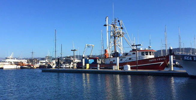 �����ֵ¹�������,���˽���,�������,����