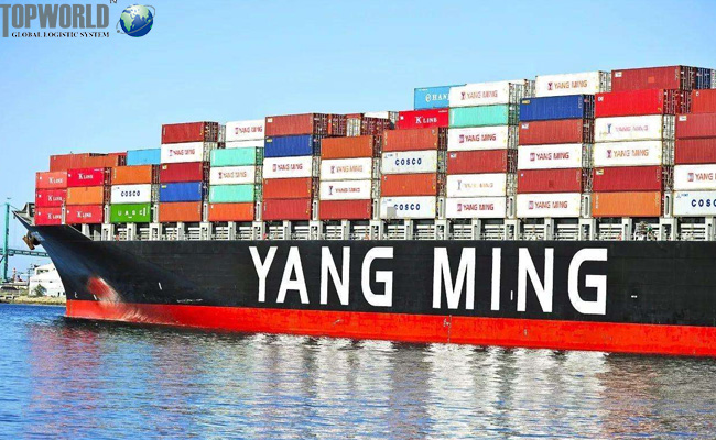 海运出口，进出口物流，上海进口货代，上海海运出口